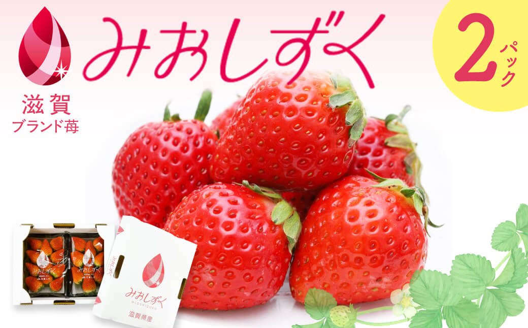いちご （みおしずく）1箱（2パック入り） 株式会社東近江あぐりステーション 滋賀県 東近江市 O-F03 いちご イチゴ みおしずく 2パック フルーツ 産地直送 ギフト