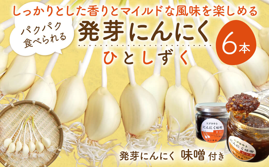 発芽にんにく6本入り1袋＋発芽にんにく味噌 甘口・ピリ辛 140ｇ1瓶ずつ 株式会社藤田電気工業（藤田農園） 滋賀県 東近江市 O-F08 発芽にんにく ひとしずく スプラウト にんにく 味噌 健康 美容 野菜 素揚げ 天ぷら ご飯のおとも ギフト プレゼント