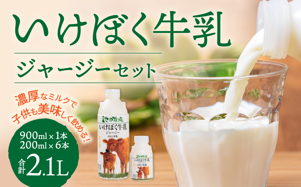 いけぼく牛乳ジャージーセット 池田牧場 滋賀県 東近江市 O-H13 ジャージー牛乳 黄金のミルク 濃厚 ミルク 成分無調整 低温殺菌 牧場直送 滋賀