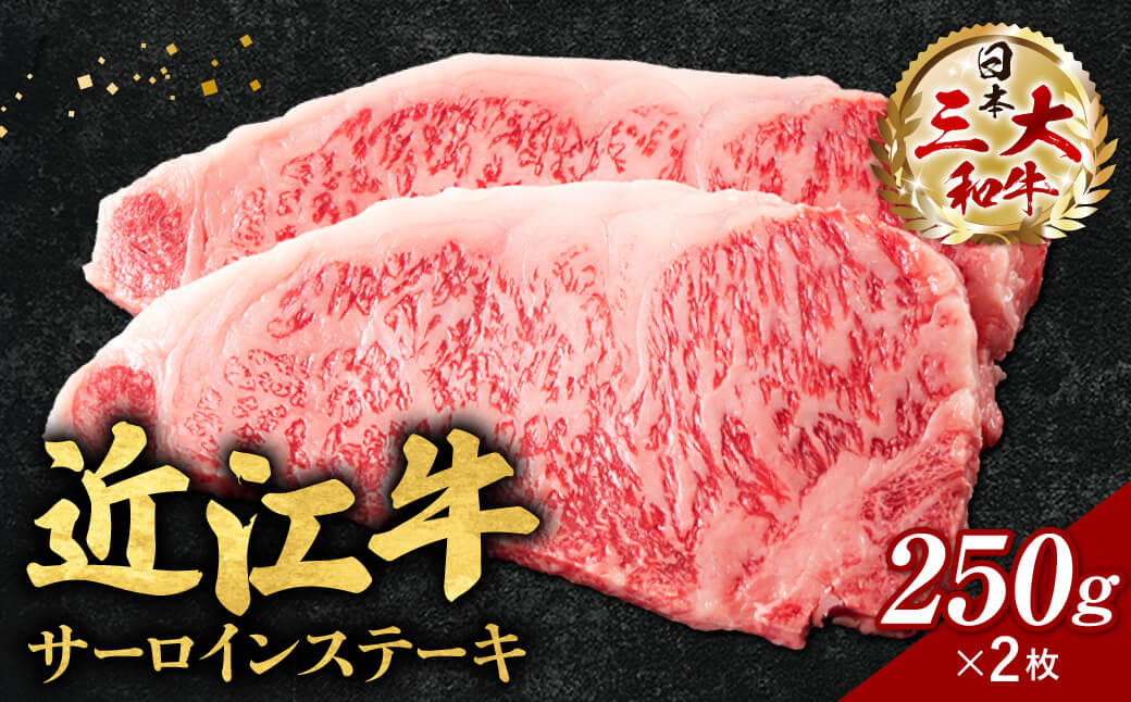 近江牛サーロインステーキ250g×2枚(箱なしエコ包装) E-E05 いろは精肉店