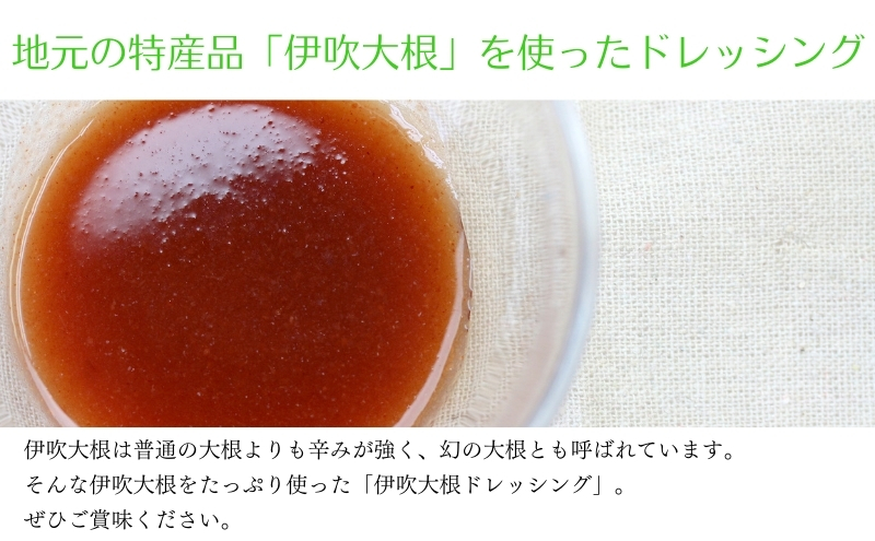 伊吹大根おろしドレッシング 6本セット