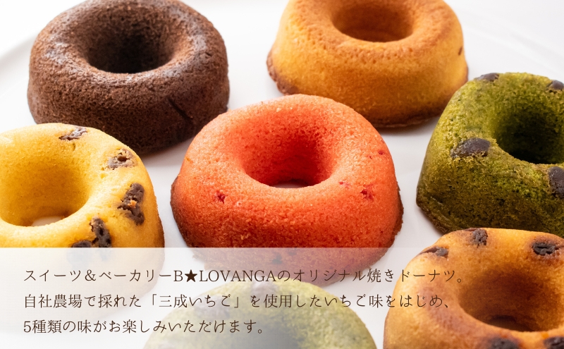 B★LOVANGA　焼きドーナツ10個