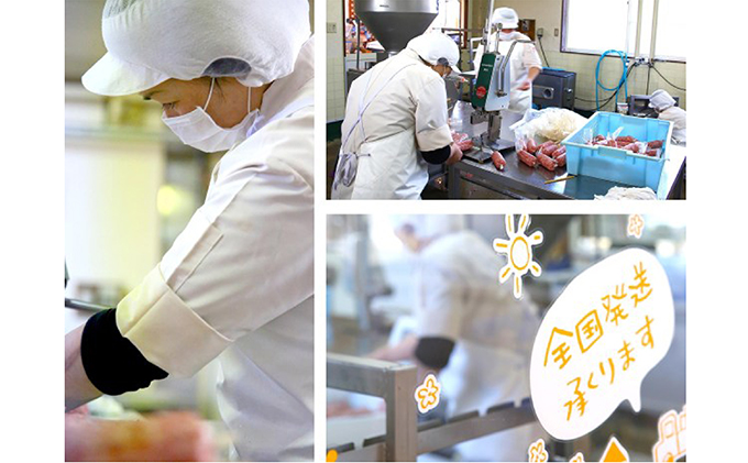 伊吹ハム 伊吹ハム4点セット ハム ソーセージ ウィンナー ウインナー ソフト サラミ スモークチーズ スモーク チーズ 詰め合わせ ギフト キャンプ BBQ 肉 お肉 豚 豚肉 食べ比べ おつまみ つまみ 伊吹 ハム 国産