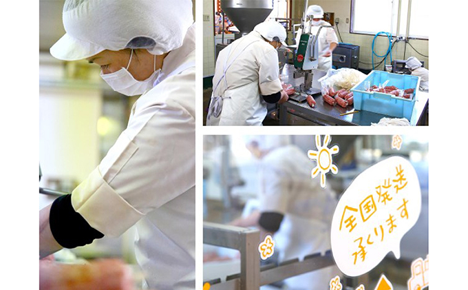 伊吹ハム 伊吹ハム6点セット ハム ロースハム ボンレスハム ソーセージ ウィンナー ウインナー ベーコン スモーク チーズ 詰め合わせ ギフト キャンプ BBQ 肉 お肉 豚 豚肉 食べ比べ おつまみ つまみ 伊吹 国産