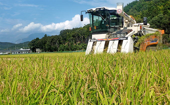 七夕の里の夢ごこち 5kg
