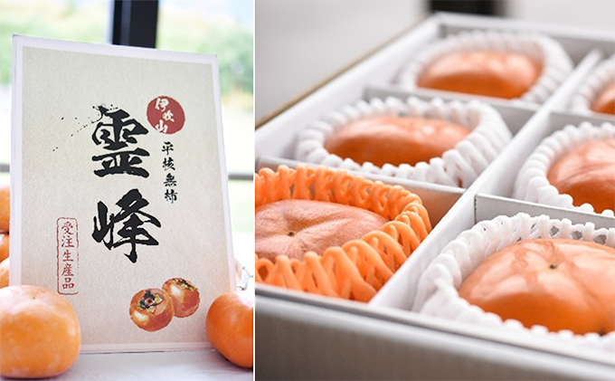 【数量限定】滋賀・伊吹特産プレミアム（樹上脱渋）ひらたねなし柿『霊峰』