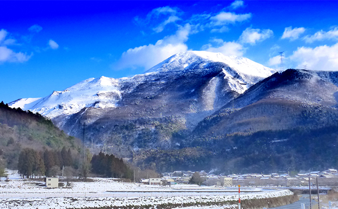 ハム 滋賀県産豚伊吹ハムセット 数量限定 ギフト箱入り ハム ソーセージ ウインナー ベーコン ロース 伊吹ハム セット 詰め合わせ ギフト アウトドア キャンプ