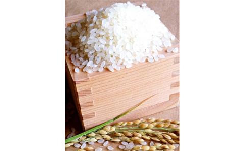 【令和6年産新米】蛍の里のコシヒカリ　20kg