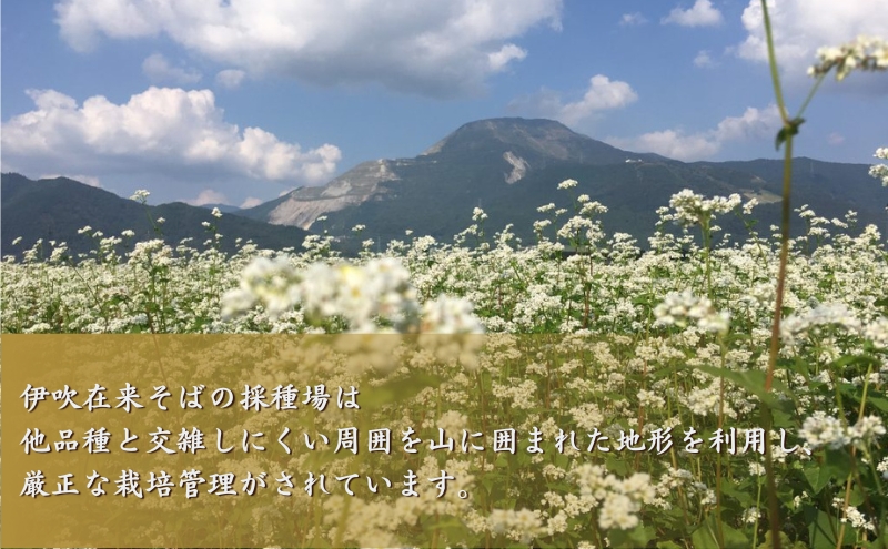 麺工房 伊吹長兵衛の伊吹在来そば 十割伊吹そば 田舎風（乾麺・玄そば挽きぐるみ）つゆ付6人前セット（1箱200g×3箱）