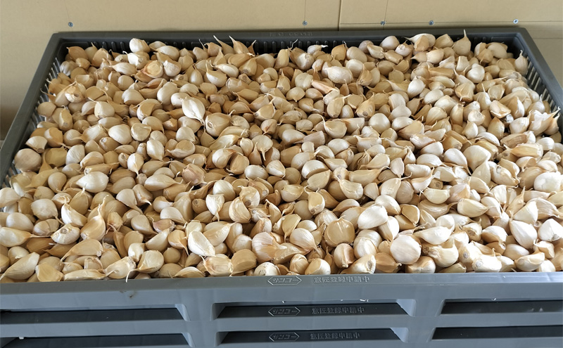 五代目新吾郎（熟成黒ニンニク） 2パック