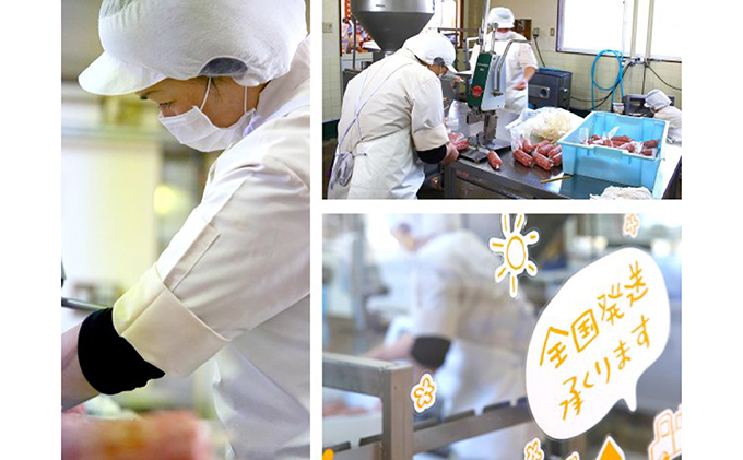 伊吹ハム 伊吹ハム9点セット ハム ロースハム ボンレスハム ソーセージ 山椒 ウィンナー ウインナー ベーコン サラミ スモーク チーズ 詰め合わせ ギフト キャンプ BBQ 肉 お肉 豚 豚肉 食べ比べ おつまみ つまみ 伊吹 国産