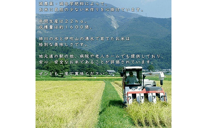 【令和6年産新米】伊吹の食卓米 20kg×3回お届け