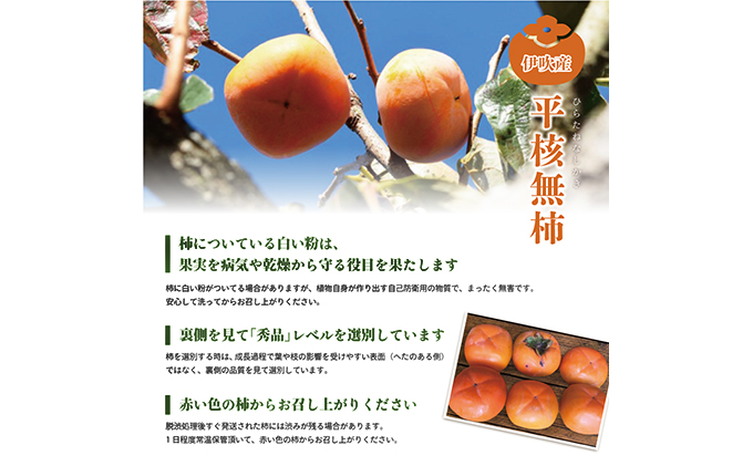 【数量限定】滋賀・伊吹特産ひらたねなし柿（炭酸脱渋）