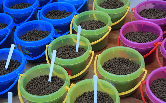 醒井養鱒場　わくわく体験クーポン