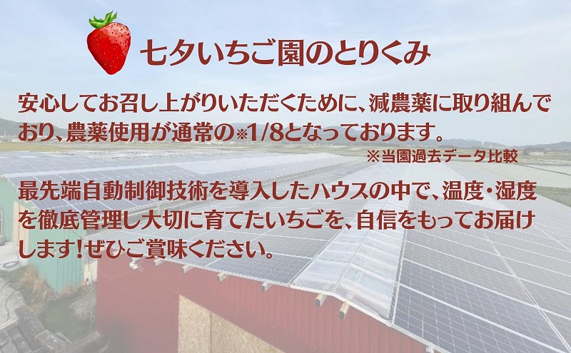 【本州限定】糖度14度以上未来を感じるいちご※12月中旬より順次配送