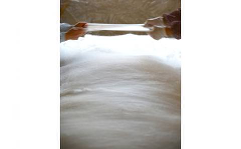 「近江真綿」角真綿作り・手引き体験