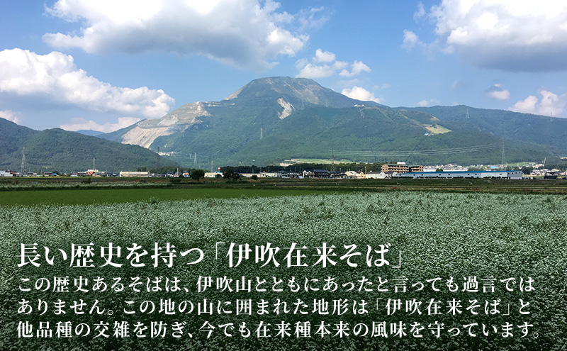 伊吹久次郎そば 6人前 つゆ付 半生蕎麦