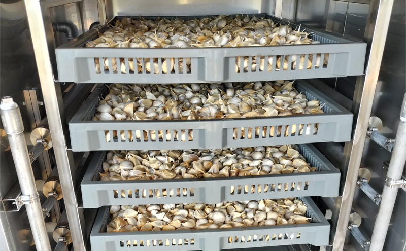 五代目新吾郎（熟成黒ニンニク） 2パック