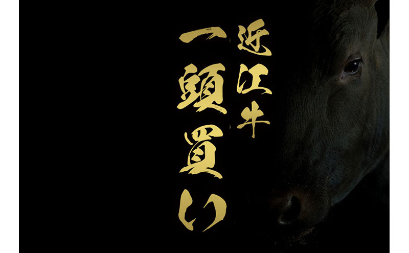 【和牛セレブ】 近江牛 1頭分買い （12分割配送）