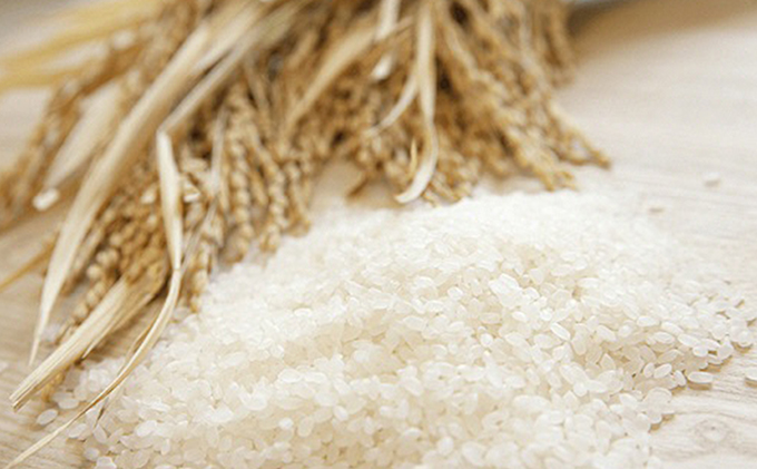 【令和6年産新米】伊吹の食卓米 20kg×3回お届け