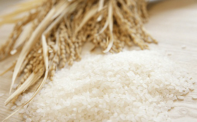 【令和6年産新米】伊吹の食卓米 10kg