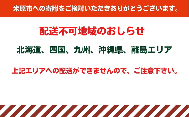 【本州限定】糖度14度以上未来を感じるいちご※12月中旬より順次配送