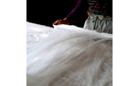 「近江真綿」角真綿作り・手引き体験