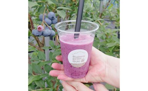 大粒ブルーベリーミックス（冷凍）