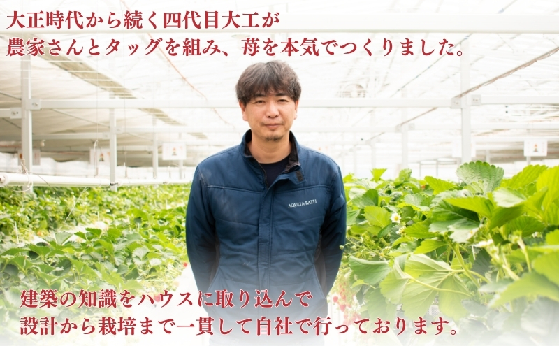 希少品種黒色いちご「真紅の美鈴（しんくのみすず）」 いちご 黒いちご 本州限定 苺 イチゴ 果物 フルーツ くだもの 国産