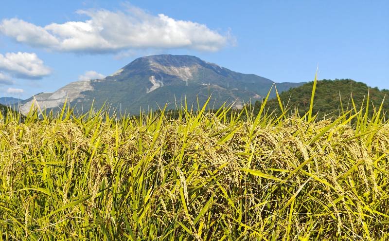 日本酒 純米吟醸 花乃伊吹 お酒 酒 地酒佐藤酒造 芳醇