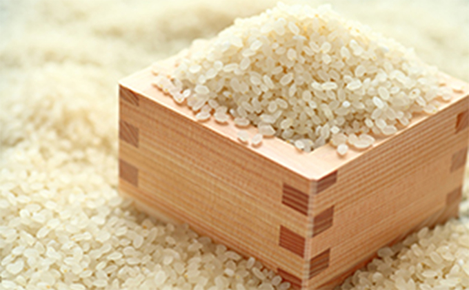 【令和6年産新米】伊吹の食卓米 10kg