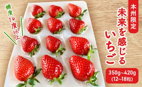 【本州限定】糖度14度以上未来を感じるいちご※12月中旬より順次配送