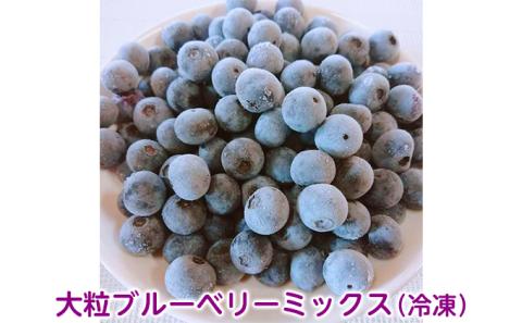 大粒ブルーベリーミックス（冷凍）