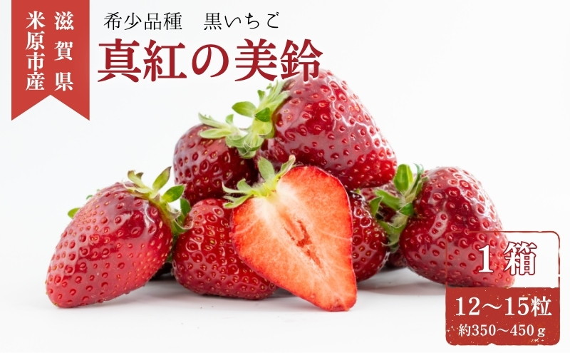 希少品種黒色いちご「真紅の美鈴（しんくのみすず）」 いちご 黒いちご 本州限定 苺 イチゴ 果物 フルーツ くだもの 国産