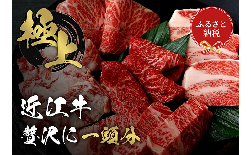 【和牛セレブ】 近江牛 1頭分買い （12分割配送）