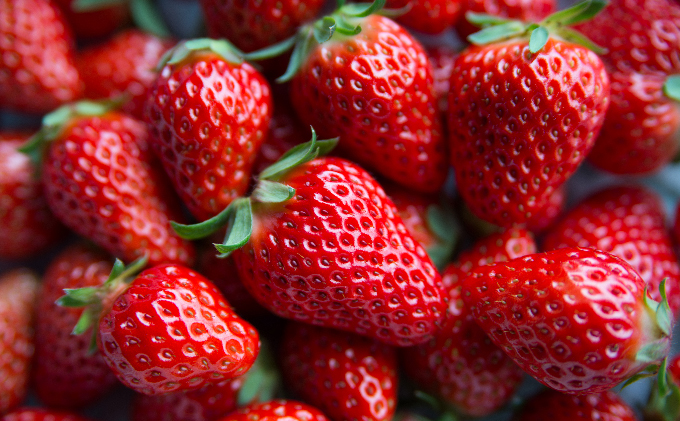 いちご 川瀬農園 紅ほっぺ 4パック 苺 イチゴ 果物 フルーツ くだもの 国産