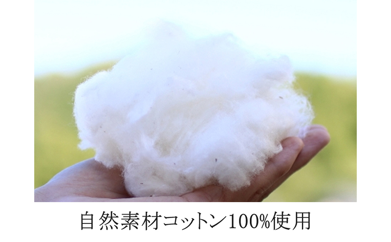 沐布（もくふ）まくら 通常の高さ