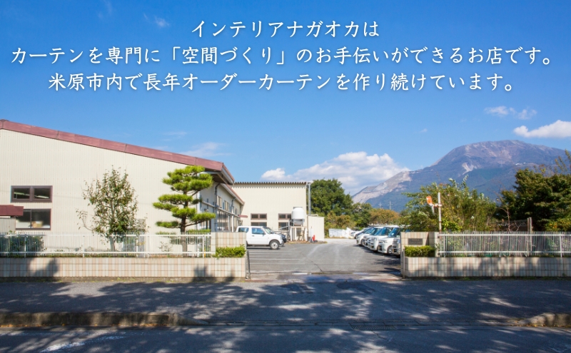 「エアピュリックカーテン」オーダーカーテンクーポン券(10,000円相当)