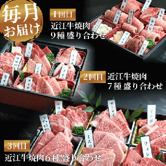 近江牛 焼肉 特上 盛り合わせ 定期便 3回 冷凍 シャトーブリアン ( 近江牛 サーロイン フィレ ヘレ 希少部位 ミスジ クラシタ イチボ ヒウチ ササバラ ラムシン 等 カルビ ロース ハラミ