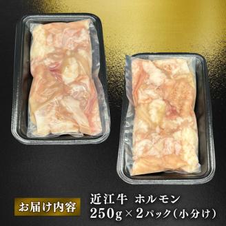 近江牛 ホルモン 500g (250g×2) ( 黒毛和牛 牛肉 肉 ギフト 焼肉 焼き肉 自宅用 高級 黒毛和牛 国産 ふるさと納税 ブランド牛 三大和牛 和牛 冷凍 贈り物 内祝い