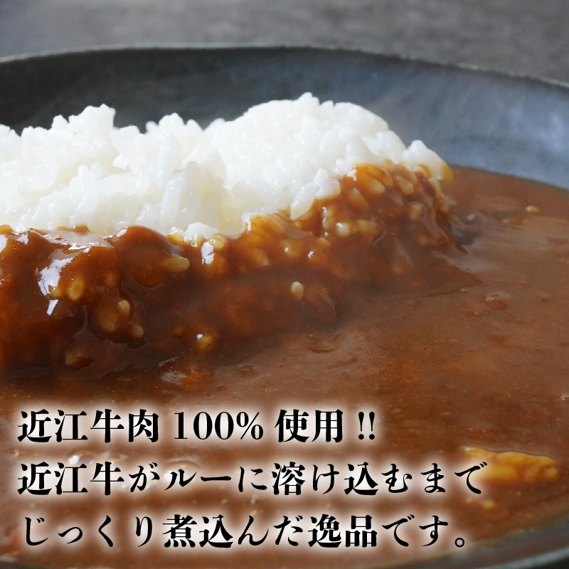 近江牛 カレー 160g×15袋セット ( レトルトカレー,近江牛カレー,2400g, 黒毛和牛カレー,国産,ふるさと納税, 牛肉カレー,黒毛和牛,ブランド牛,肉カレー,ギフト,自宅用,三大和牛,和牛カレー, 贈り物,内祝い