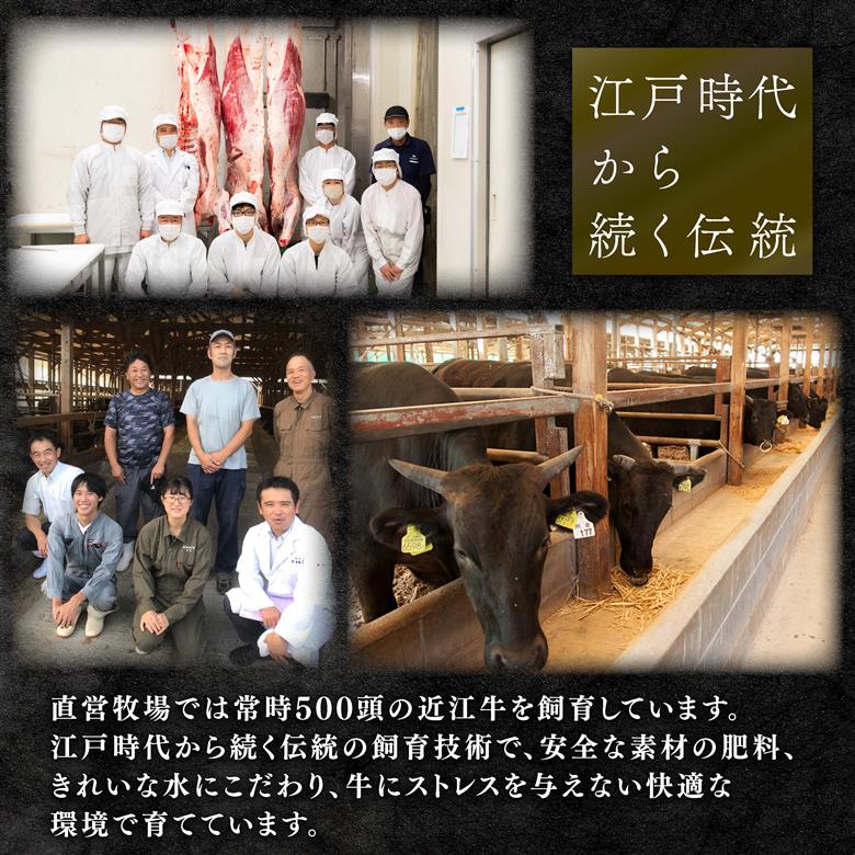 近江牛 50万円 定期便 12回 冷凍 肩ロース すき焼き しゃぶしゃぶ 焼肉用 切り落とし ギフト 肉 お取り寄せ 黒毛和牛 贈答用 ごはんのお供 三大和牛 ブランド おかず 贈り物 自宅用 滋賀県 竜王町 岡喜 ふるさと納税 神戸牛 松阪牛 に並ぶ 日本三大和牛 焼き肉 すきやき 近江牛 しゃぶしゃぶ