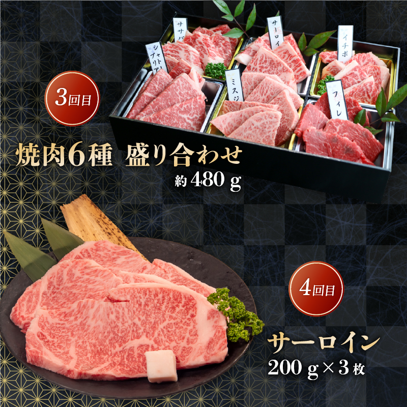 近江牛 食べ比べ 定期便 6ヶ月 焼肉 焼き肉 すき焼き 盛り合わせ 冷凍 シャトーブリアン A4 A5 サーロイン スライス 6回 赤身 和牛 黒毛和牛 ブランド 贈り物 贈答 国産 滋賀県 近江牛 竜王町 岡喜 神戸牛 松阪牛 に並ぶ 日本三大和牛 ふるさと納税