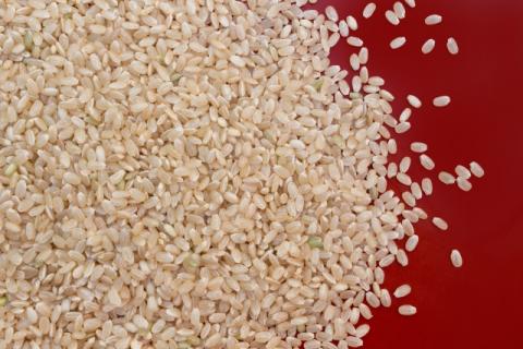 赤字超特価2024近江米 コシヒカリ 玄米30kg‼︎ 米/穀物