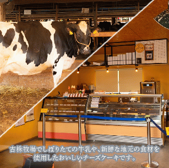 バスクチーズケーキ 5号 ( ブルーチーズ バスク ケーキ 濃厚 甘い おいしい 美味しい スイーツ お菓子 おやつ お土産 贈り物 お祝い 誕生日 プレゼント