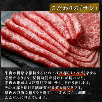 近江牛 焼肉 盛り合わせ 600g 冷凍 黒毛和牛 和牛 牛肉 ブランド和牛 肉 ロース バラ 霜降り ブランド 肉 三大和牛 贈り物 ギフト 滋賀県 竜王町 澤井牧場