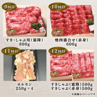 近江牛 特選 定期便 全12回 近江牛 12ヶ月 連続 食べつくしコース ( 1年分 お肉 黒毛和牛 牛肉 肉 すき焼き しゃぶしゃぶ 焼肉 ギフト 自宅用 高級 国産 ブランド牛 三大和牛 和牛