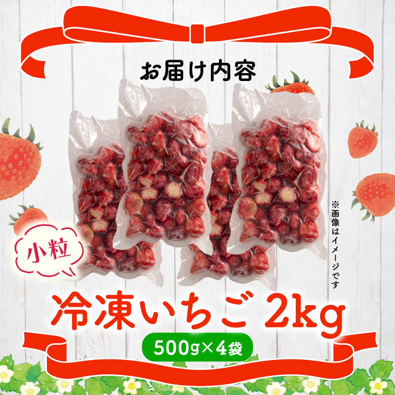 冷凍 いちご 2kg 完熟 ヘタ取り 小粒 イチゴ 苺 冷凍いちご 果物 スイーツ デザート フルーツ アイス ジャム シャーベット ベリー 氷菓 甘い オススメ 人気 滋賀県 竜王町 ひさだ苺農園