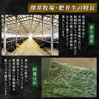 近江牛 焼肉 盛り合わせ 600g 冷凍 黒毛和牛 和牛 牛肉 ブランド和牛 肉 ロース バラ 霜降り ブランド 肉 三大和牛 贈り物 ギフト 滋賀県 竜王町 澤井牧場