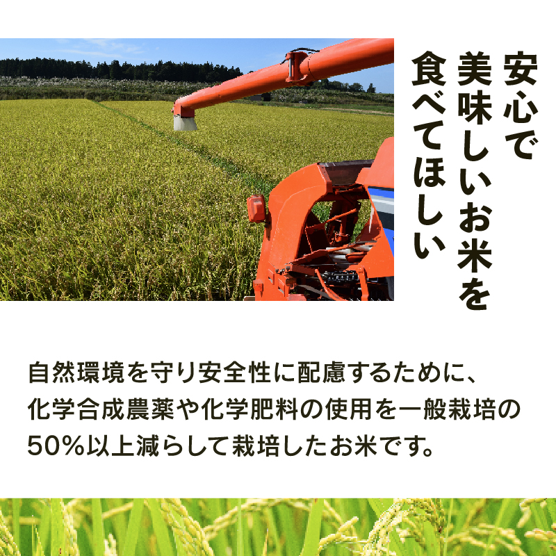 こしひかり 米 10kg 白米 定期便 6ヶ月 コシヒカリ 定期 6か月 2023年産 滋賀県 竜王町 令和5年産 国産 農家直送 特別栽培米  コシヒカリ 2023年産 10kg × 6回 計 60kg 国産 農家直送 環境こだわり お試し用 お米 こめ おこめ 農家直送 産地直送